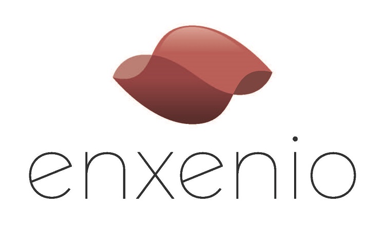 Logotipo de Enxenio